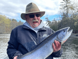 Salmon Fiesta at Lake Michigan